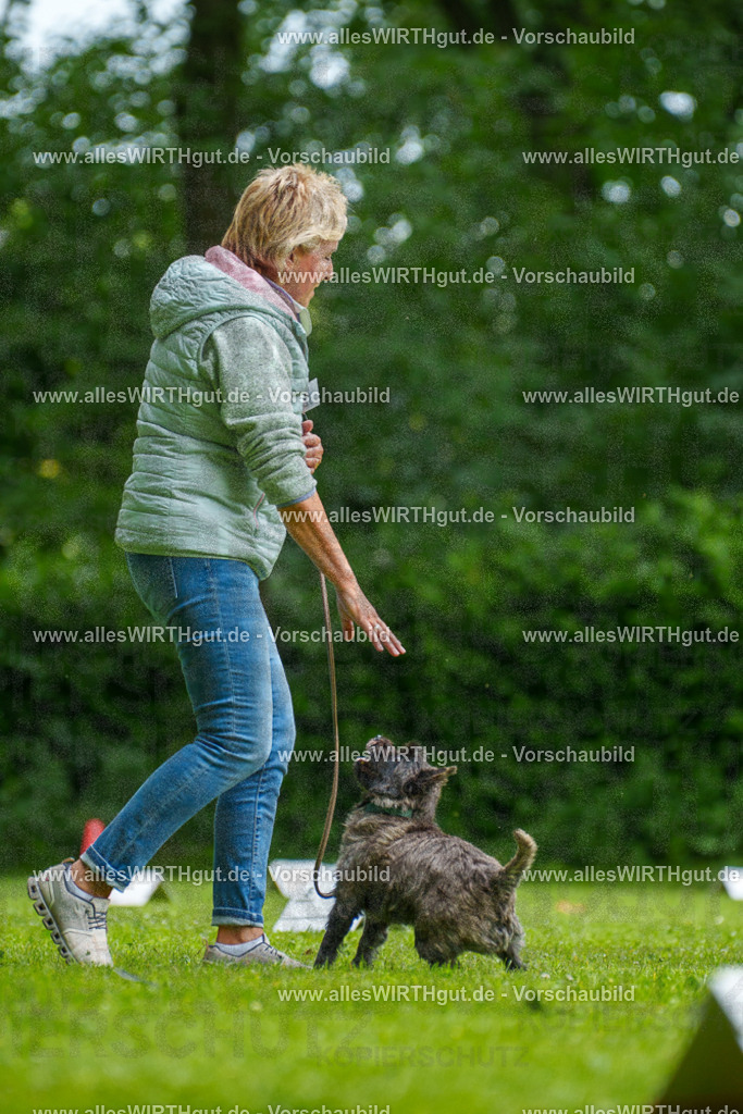 @allesWIRTHgut_Tierfotografie - www.allesWIRTHgut.de - 7R504511 | Professionelle Tierfotografie in Mönchengladbach von Daniel Wirth (allesWIRTHgut). Liebevolle & natürliche Bilder von Hunden & Katzen für unvergessliche Erinnerungen.