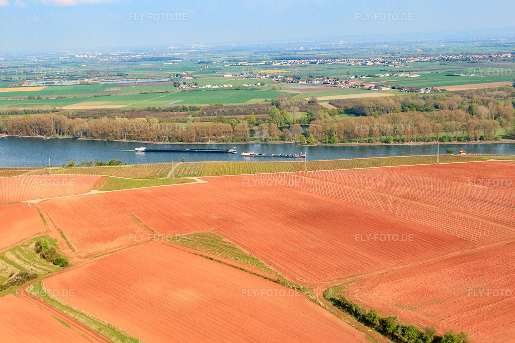 Luftbild: Rhein bei Nierstein in Nierstein im Bundesland Rheinland-Pfalz in Deutschland. Foto: IMG_49799.jpg vom 13.04.2012 durch Werner Riehm/FLY-FOTO.de