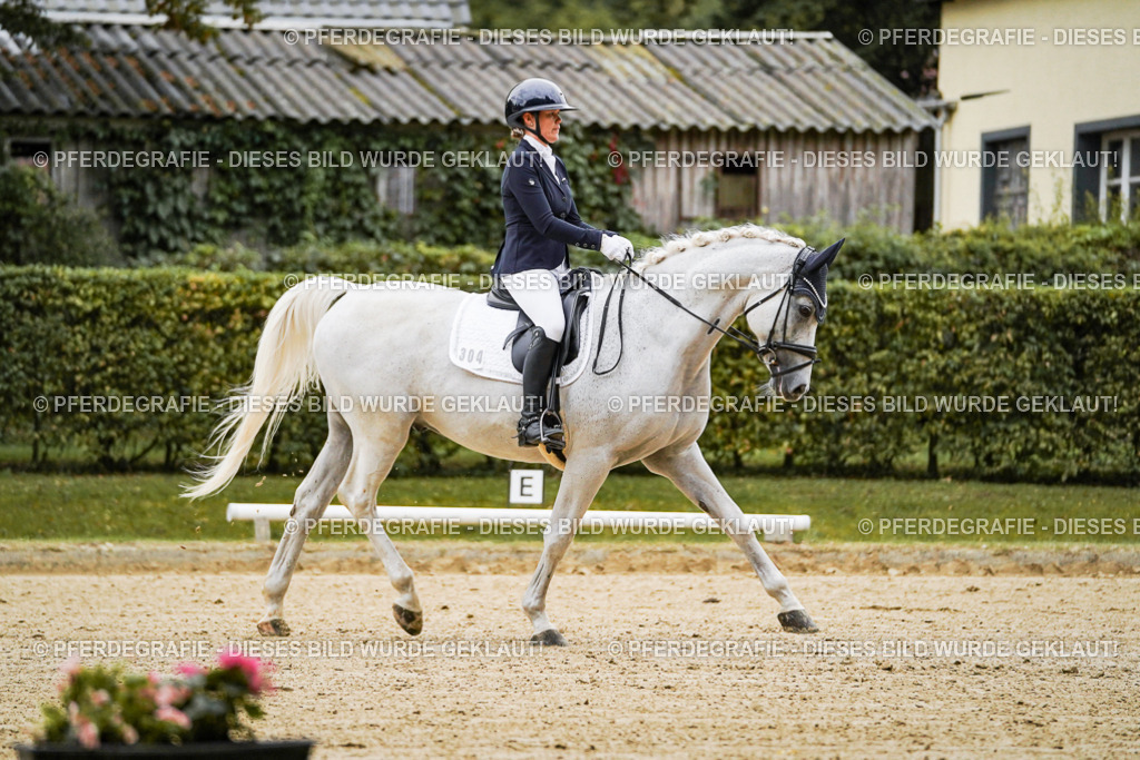 DSC06583 | Pferdegrafie