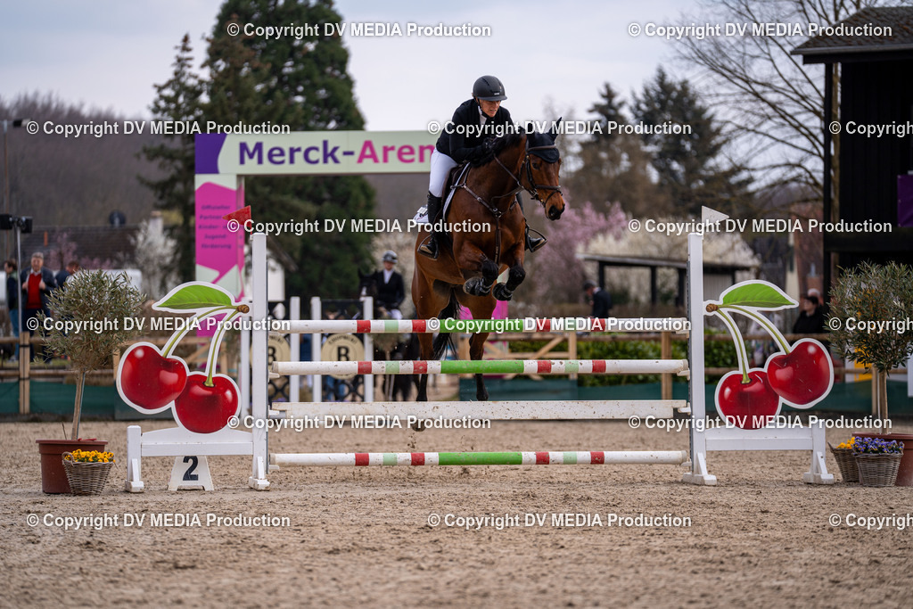 Kranichstein Tag 2-2160 | dv-media-shop - Realisiert mit Pictrs.com