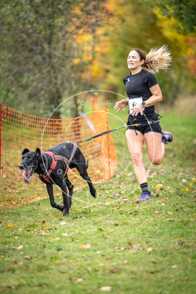 Pfotenfotografie_DV3A1732 | Hundefotografie, Tierfotograf, Pfotenfotografie, Fotoshooting Hund, Hunde Portrait, Hundesport, Hundeportraits, Heideshooting, Hunde, Sportfotograf, Hundefotograf, Turnierhundsport, THS,  - Realisiert mit Pictrs.com