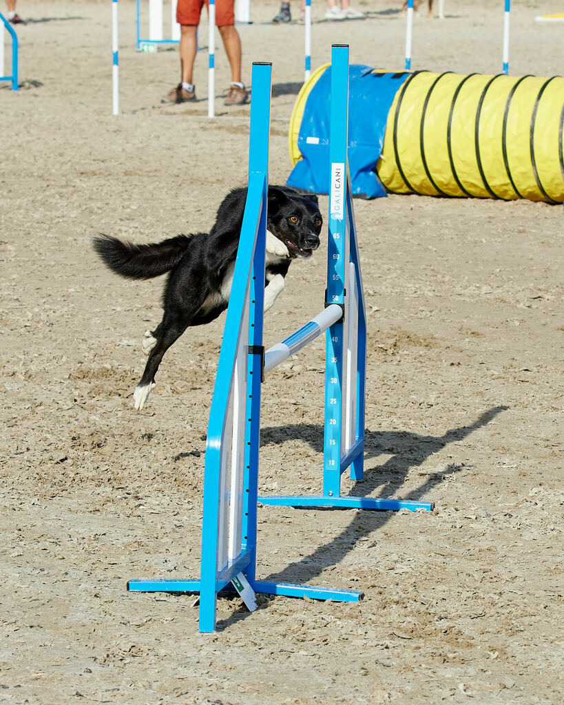 580B0032 | Peter Fridle Fotografie - Realisiert mit Pictrs.com