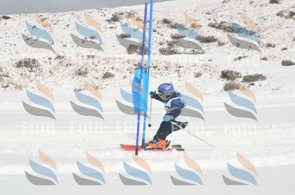 A5059 | holidayphoto