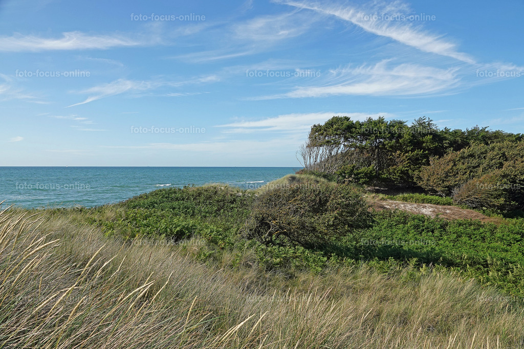 West Beach, Darß | foto-focus-online