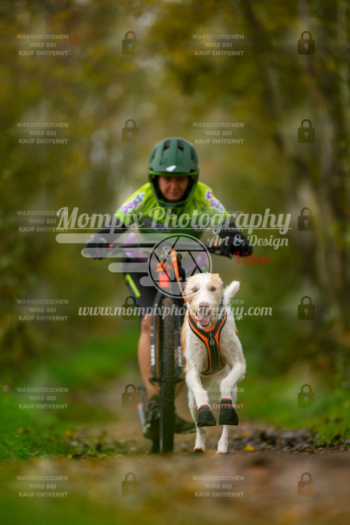 MompixPhotography_20TSB_E6_DS1-81 | PayLife