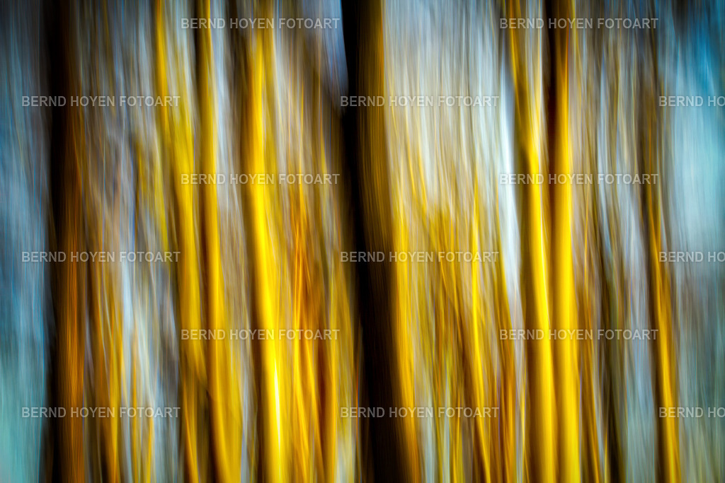 springtime trees | Fotografie einiger Bäume an der Schlei/Schleswig-Holstein, Deutschland.Die Aufnahme entstand durch Langzeitbelichtung und Mitziehen der Kamera (ICM / Wischtechnik). Durch nachträgliche Bildbearbeitung wurde ein märchenhafter Effekt erzielt. | Photograph of some trees along the Schlei in Schleswig-Holstein, Germany.The image was created using a long exposure and panning the camera (ICM / panning technique). A fairy-tale effect was achieved through subsequent image editing. - Realisiert mit Pictrs.com