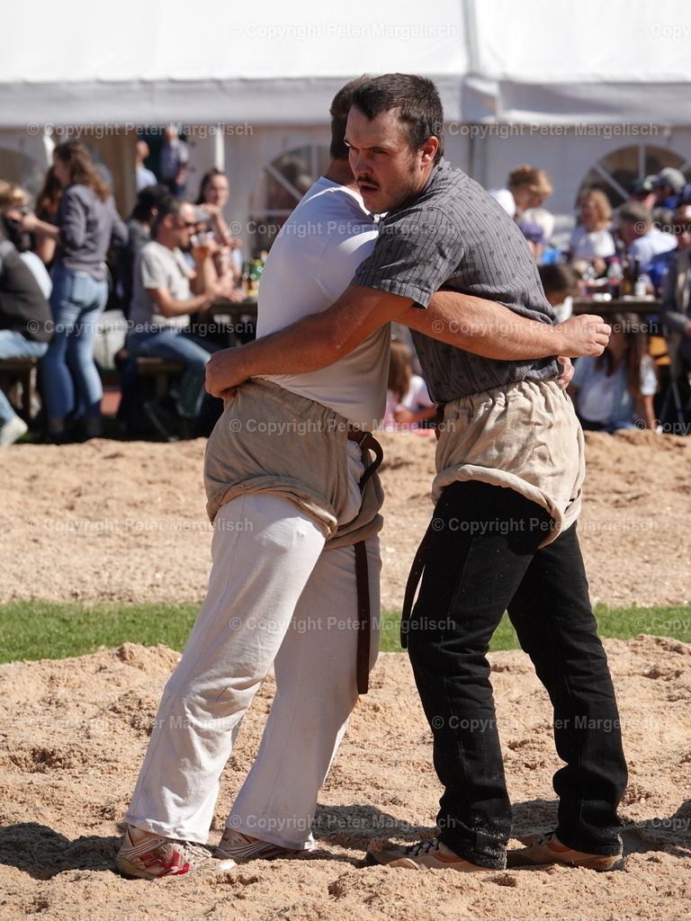 DSC05577 | Schwingen - Realisiert mit Pictrs.com
