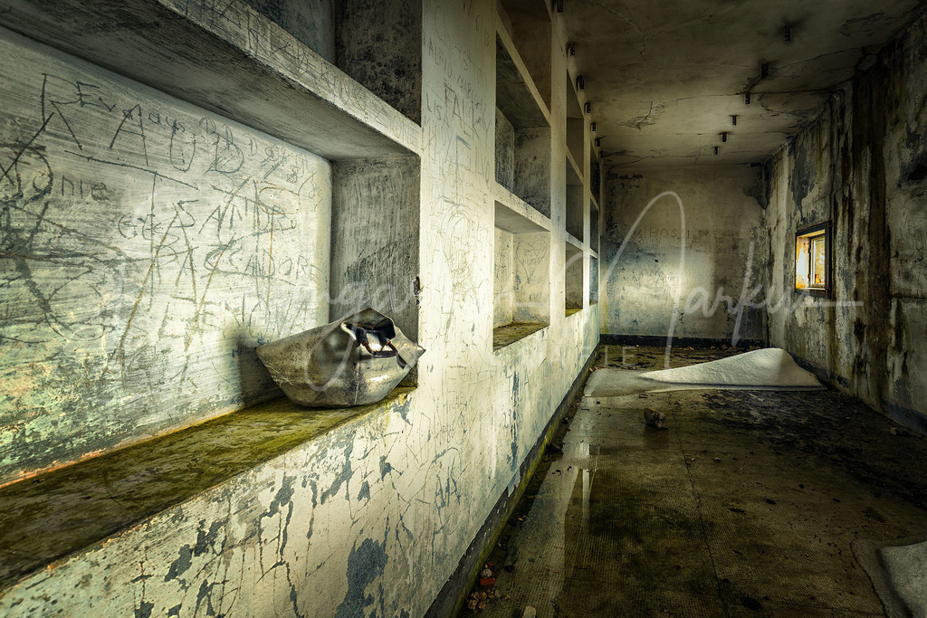 _DSC5072-Bearbeitet_WEB | Baumgartner Markus Fotografie