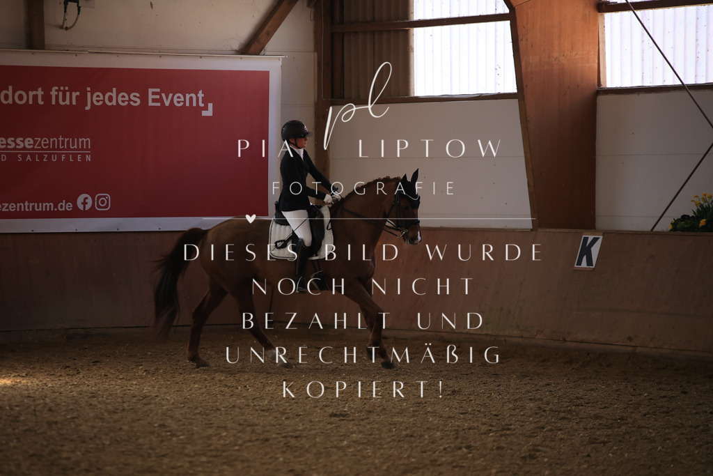 IMGT3410 | pl-fotografie