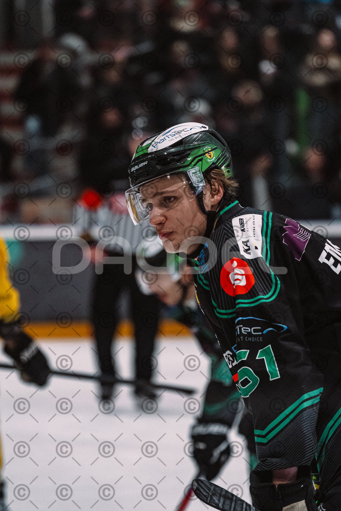 Alligators_vs_Bayreuth_16_01_2026-54 | Die Fotogalerie von Daddel: professionelle Bilder von Sport, Events und Unternehmen aus Franken. Jetzt Galerien durchstöbern und Lieblingsfotos bestellen. - Realisiert mit Pictrs.com