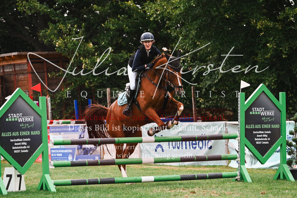 DSC_6383 | Pferde- und Turnierfotografie in Westsachsen. Pferdeportraits, Auftragszeichnungen und intuitive Kunst.