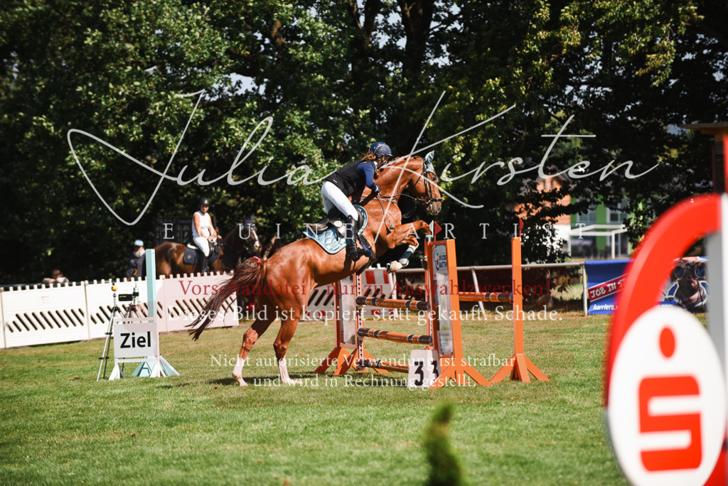 DSC_2844 | Pferde- und Turnierfotografie in Westsachsen. Pferdeportraits, Auftragszeichnungen und intuitive Kunst.