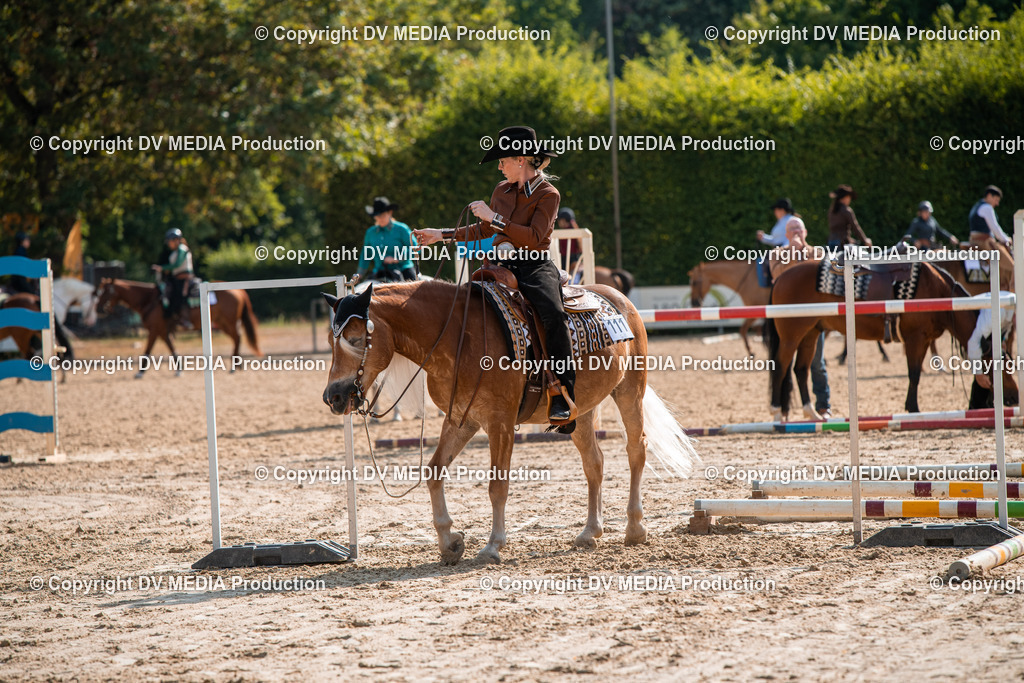 ZS3_9263 | dv-media-shop - Realisiert mit Pictrs.com