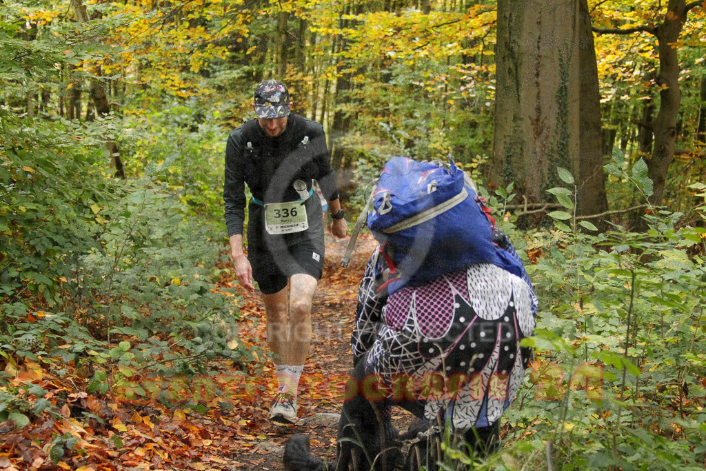 251026_1302_EV4_6406 | Sportfotografie im Rhein-Sieg Kreis, Köln, Bonn, NRW, Rheinland Pfalz, Hessen, etc. Unser Tätigkeitsfeld umfasst den Laufsport vom Volkslauf über den Marathon, Duathlon, Triathon bis zum Ultralauf wie Kölnpfad Ultra oder Schindertrail.