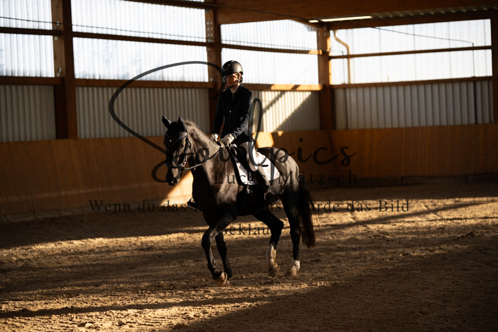 A7V01613 | Turnier/Reitfotograf