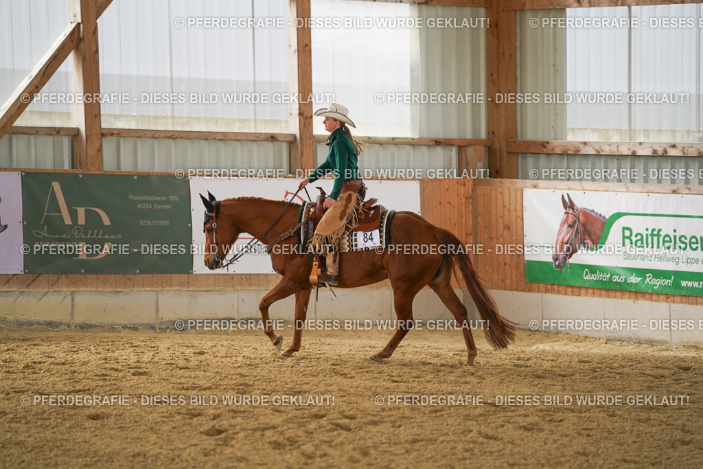 DSC04596 | Pferdegrafie