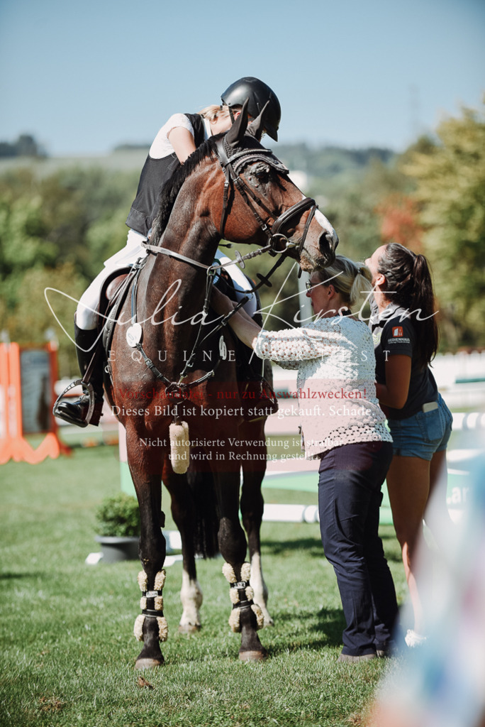 DSC_3356 | Pferde- und Turnierfotografie in Westsachsen. Pferdeportraits, Auftragszeichnungen und intuitive Kunst.