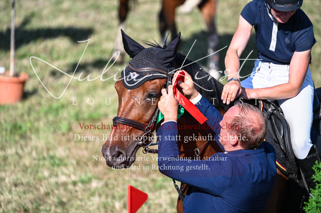DSC_2612 | Pferde- und Turnierfotografie in Westsachsen. Pferdeportraits, Auftragszeichnungen und intuitive Kunst.