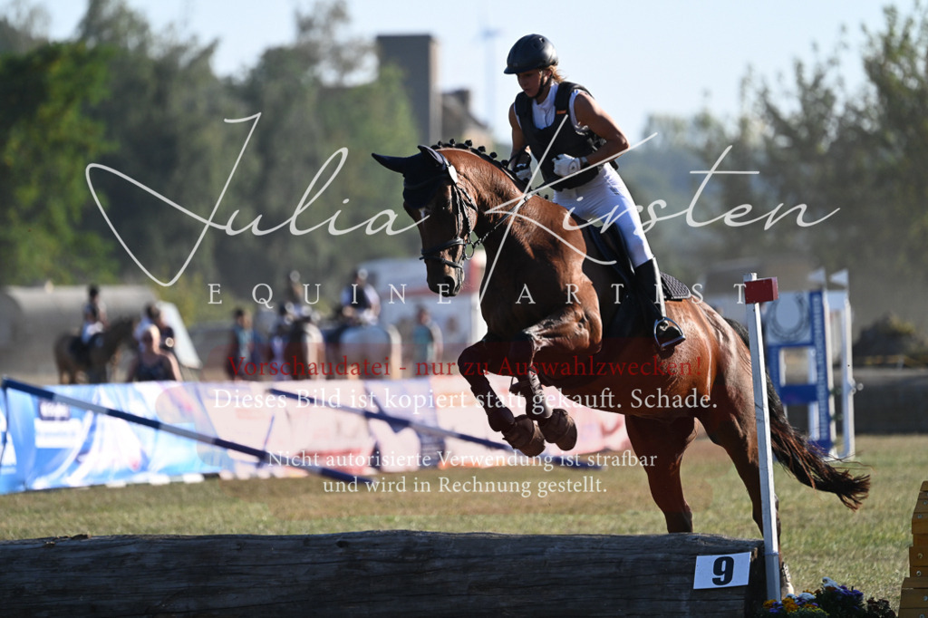 DSC_9111 | Pferde- und Turnierfotografie in Westsachsen. Pferdeportraits, Auftragszeichnungen und intuitive Kunst.