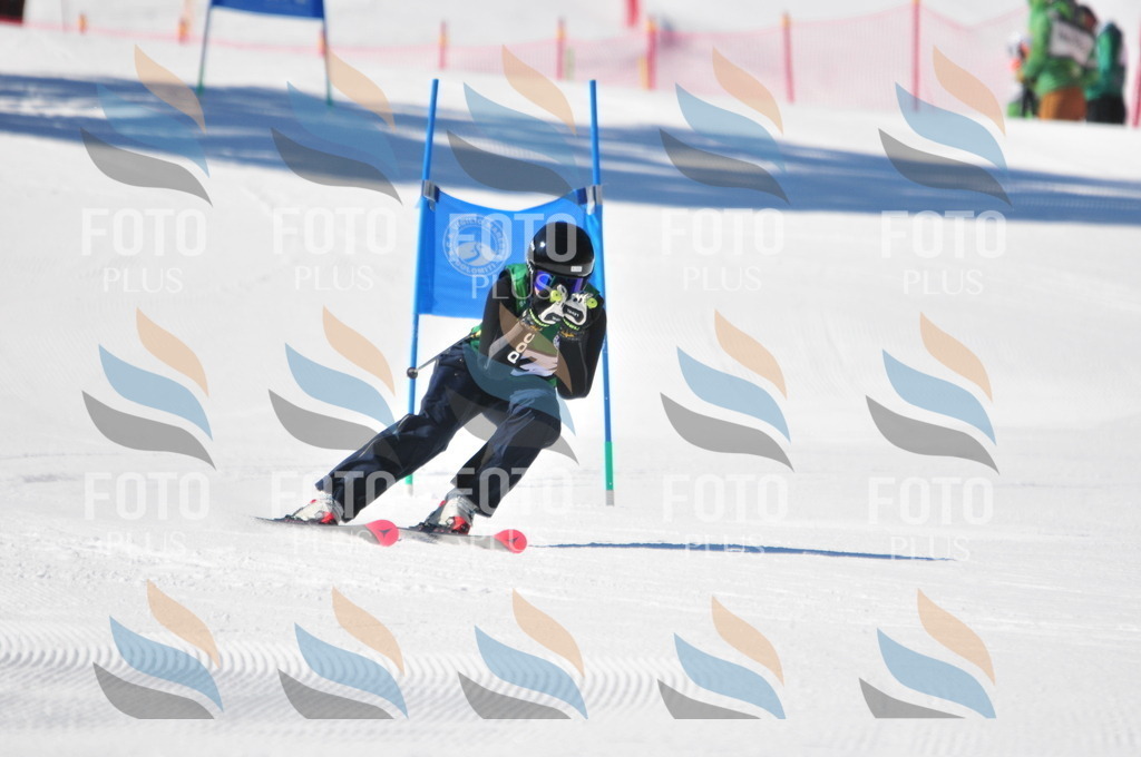 C3765 | holidayphoto