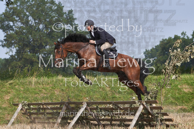 09-23 Jagd Perdöl_MCH0006_Marina Hewig | Fotografie, FotoArt, PferdesportArt, Pferdesportfotografie, Landschaftsfotografie, Reisefotografie, Reise, Pferde - Realisiert mit Pictrs.com