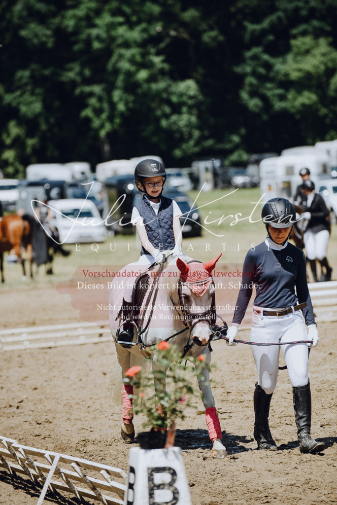 DSC_2400 | Pferde- und Turnierfotografie in Westsachsen. Pferdeportraits, Auftragszeichnungen und intuitive Kunst.