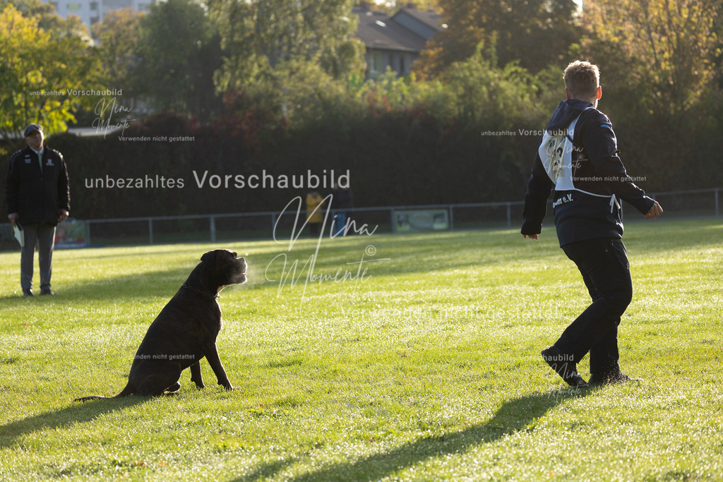 _16A6168 | Einzigartige Fotos von Hunden & Menschen –Actionfotos, Portraits, Vereinsaufnahmen & Paarshootings – authentisch, lebendig & mit Herz.