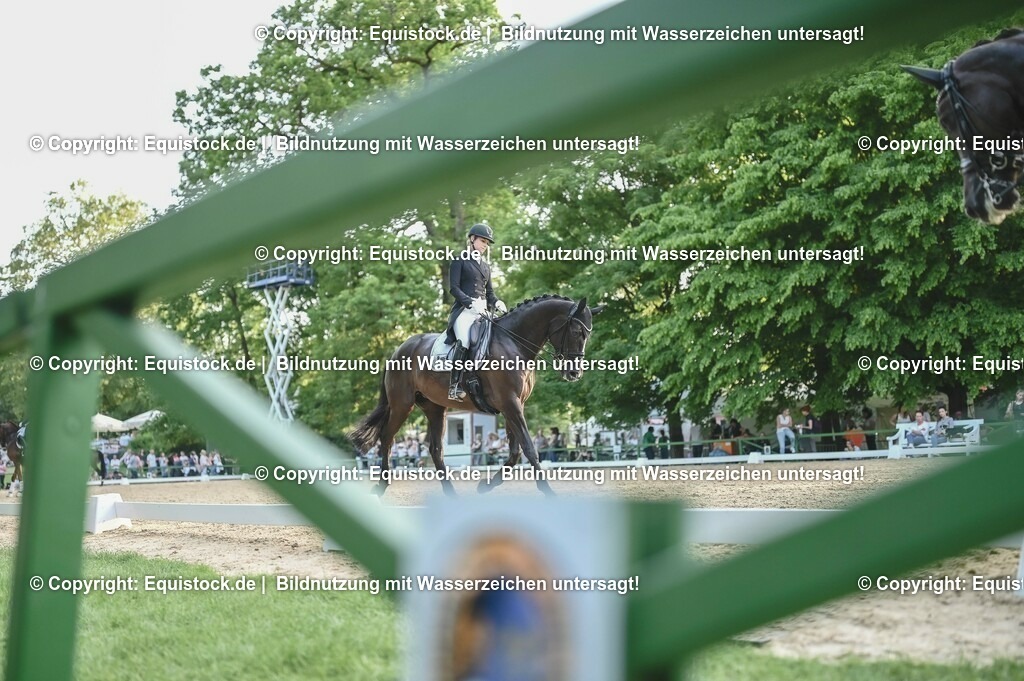 D78_3822 | equistock