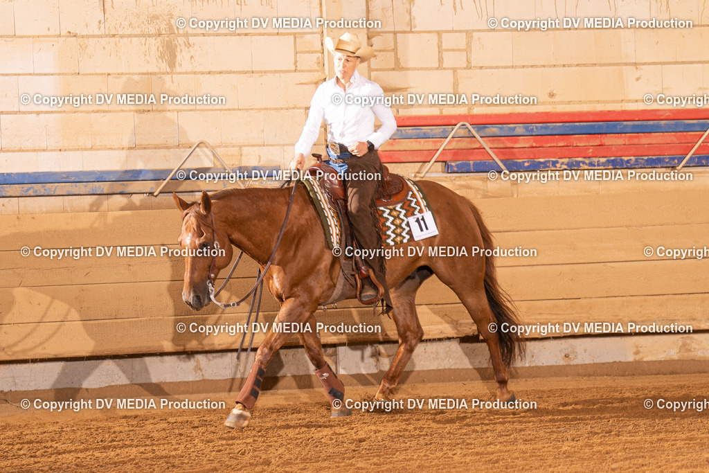 NID01182 | dv-media-shop - Realisiert mit Pictrs.com