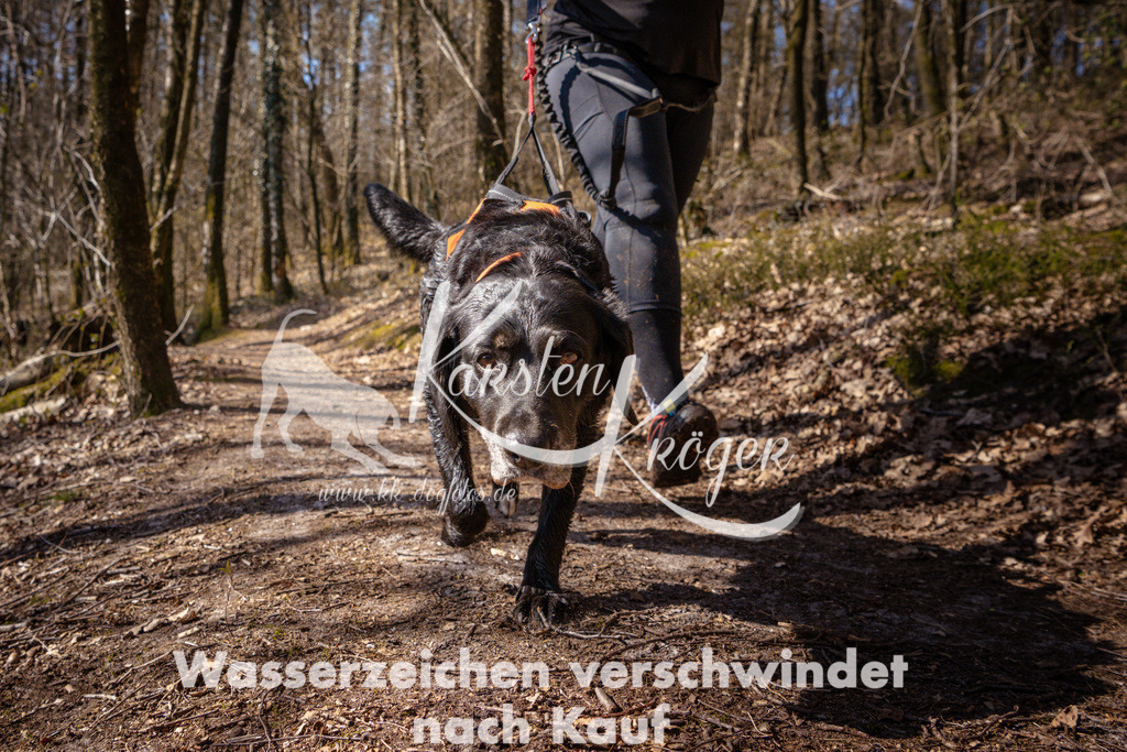 1131_ZZ98659 | kk-dogfotos