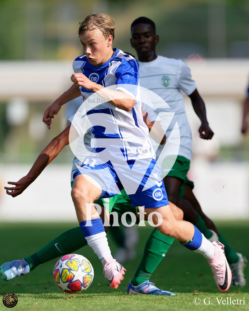 DZ9_6595 | Velletri Photo