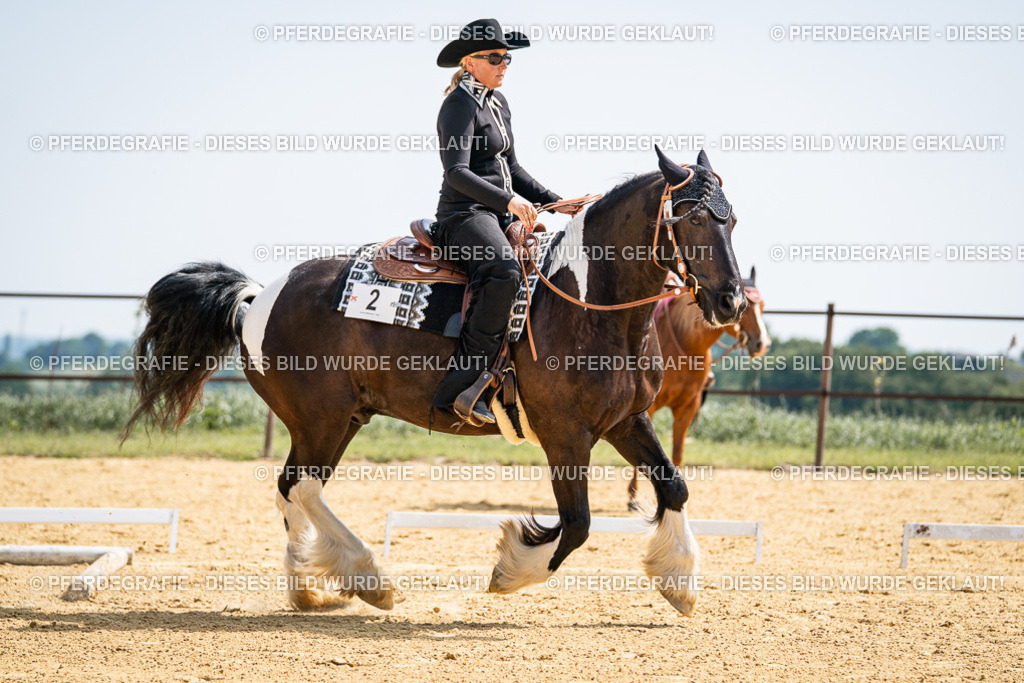 DSC00227 | Pferdegrafie