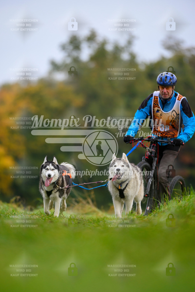 MompixPhotography_CDLBDB2025_DI_DS-28 | PayLife