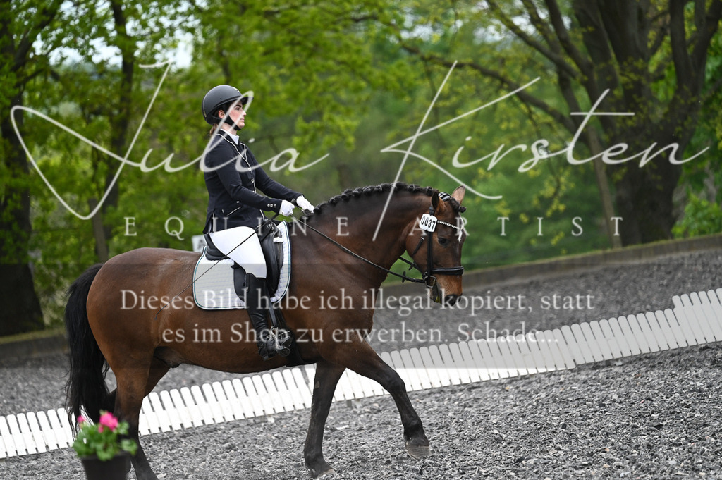 20230512_JK-Röhrsdorf-07-128 | Pferde- und Turnierfotografie in Westsachsen. Pferdeportraits, Auftragszeichnungen und intuitive Kunst.