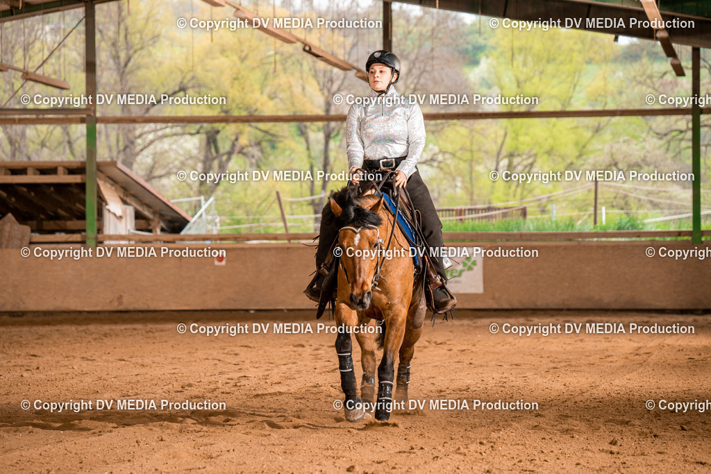 BA400537 | dv-media-shop - Realisiert mit Pictrs.com