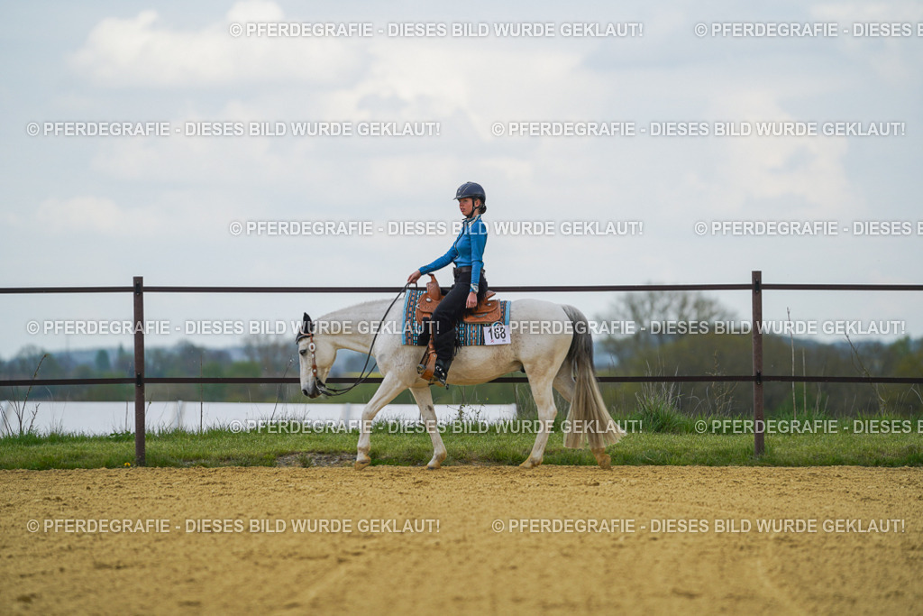 DSC06545 | Pferdegrafie