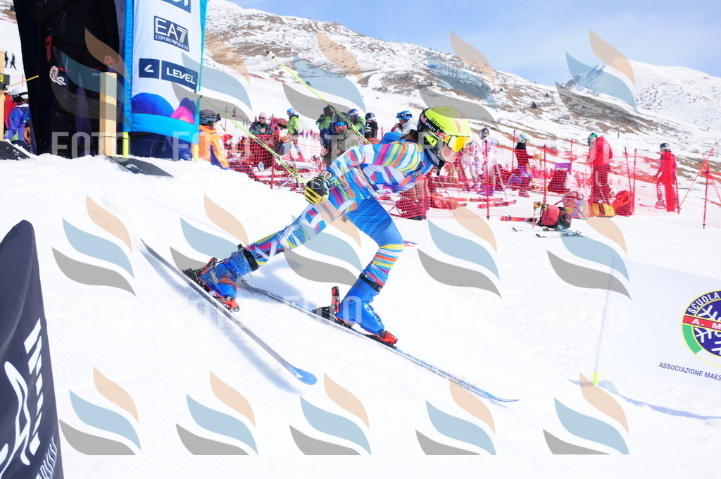 DSC_5445 | holidayphoto