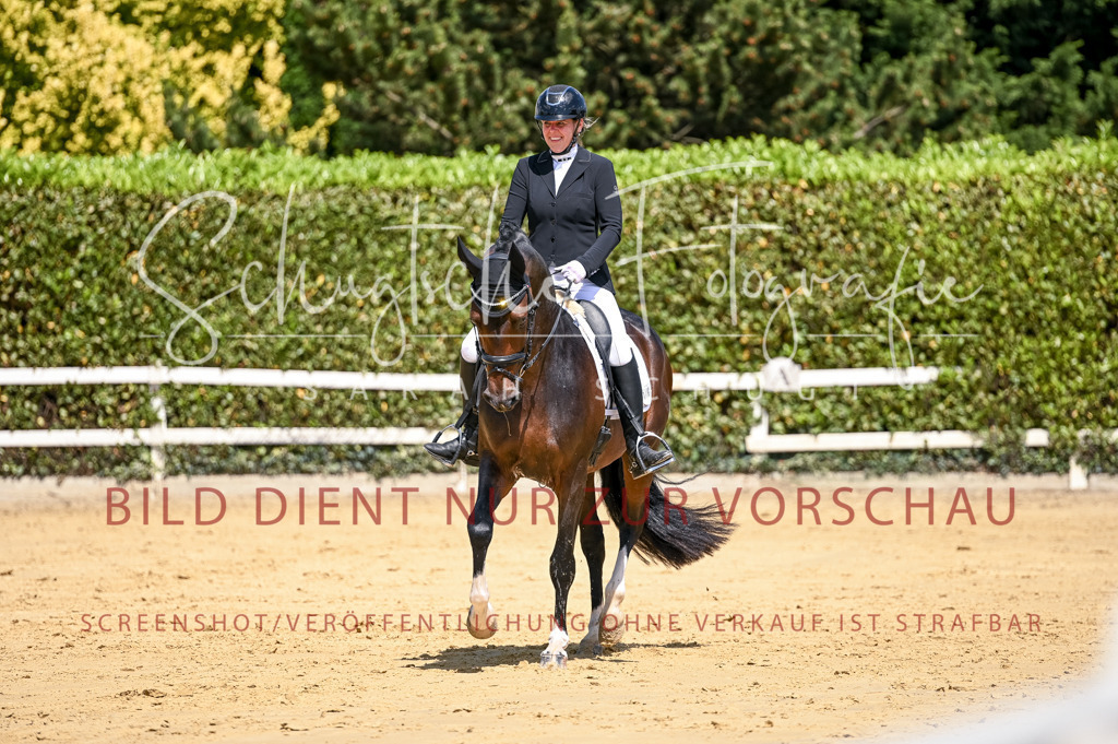Schugtsche-Aluta25-49.Dressurpferdeprf.A-190 | Schugtsche Fotografie - Realisiert mit Pictrs.com