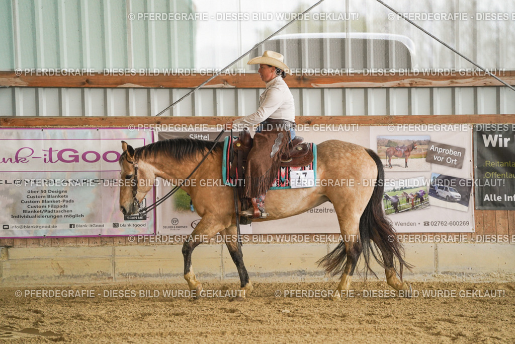 DSC07433 | Pferdegrafie