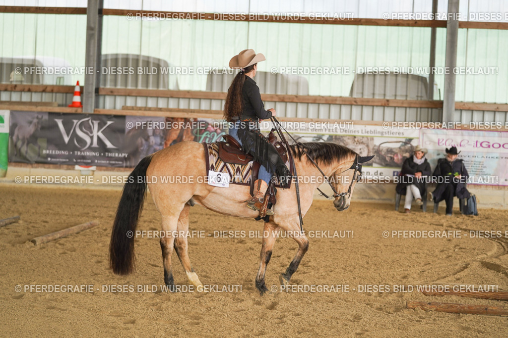 DSC01416 | Pferdegrafie