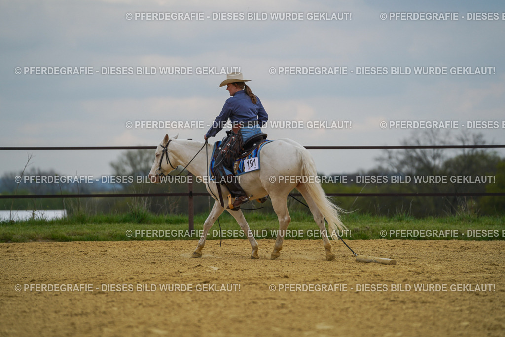 DSC07480 | Pferdegrafie