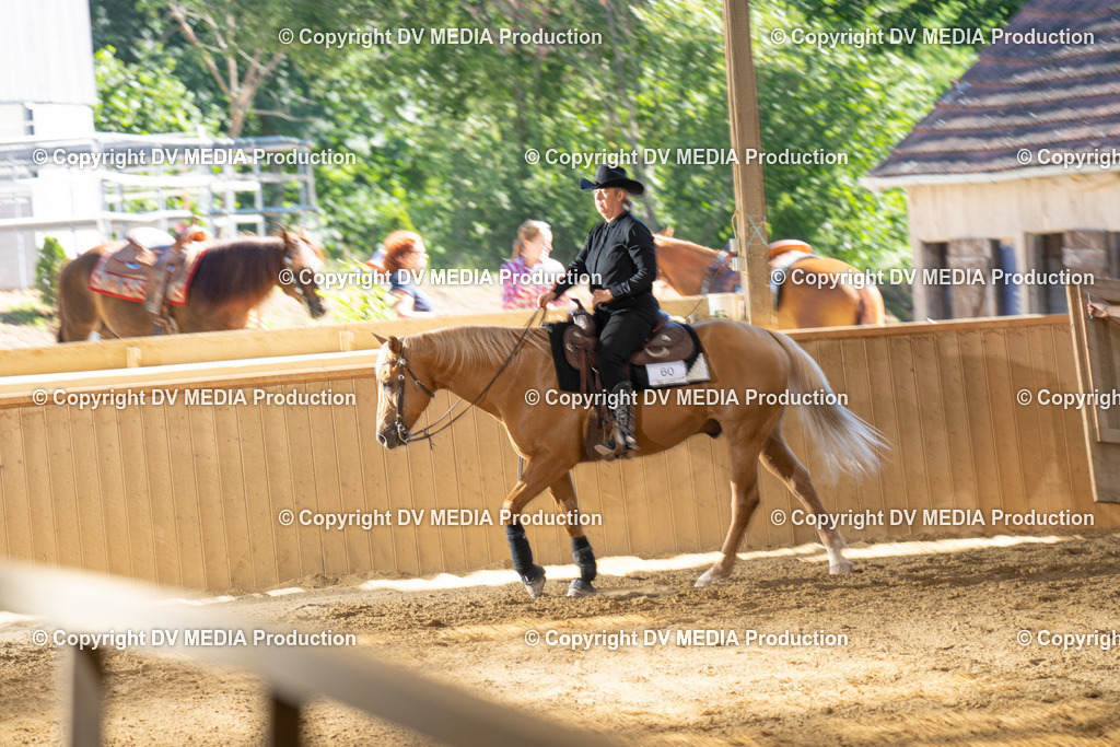 DSC00085 | dv-media-shop - Realisiert mit Pictrs.com