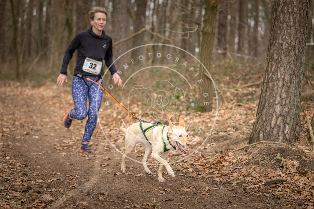 Pfotenfotografie_DV3A9485 | Hundefotografie, Tierfotograf, Pfotenfotografie, Fotoshooting Hund, Hunde Portrait, Hundesport, Hundeportraits, Heideshooting, Hunde, Sportfotograf, Hundefotograf, Turnierhundsport, THS,  - Realisiert mit Pictrs.com