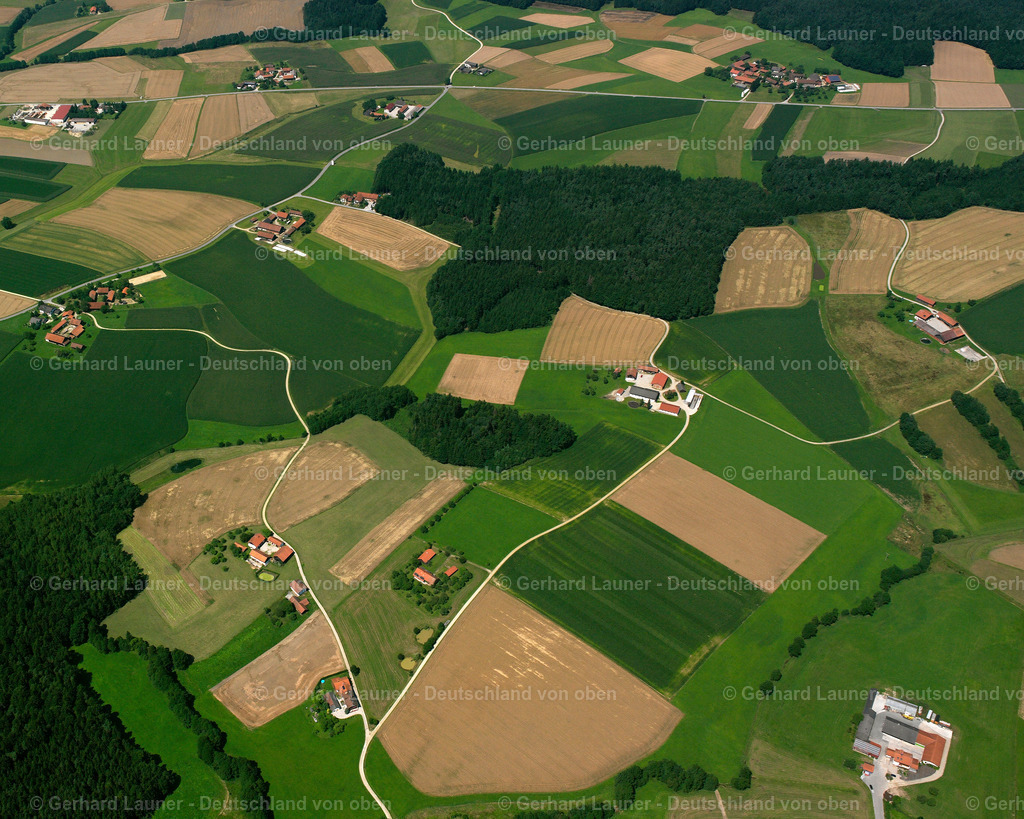 2516319 | Loh, Wittibreut