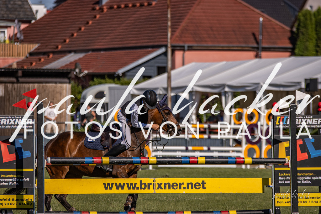 IMG_9887 | Erleben Sie dynamische Sport- und emotionale Tierfotografie in Süddeutschland mit Fotos von Paula. Spezialisiert auf Pferde- und Hundefotografie sowie Sportevents. Kontaktieren Sie mich für einzigartige und ausdrucksstarke Bilder Ihrer besonderen Momente.