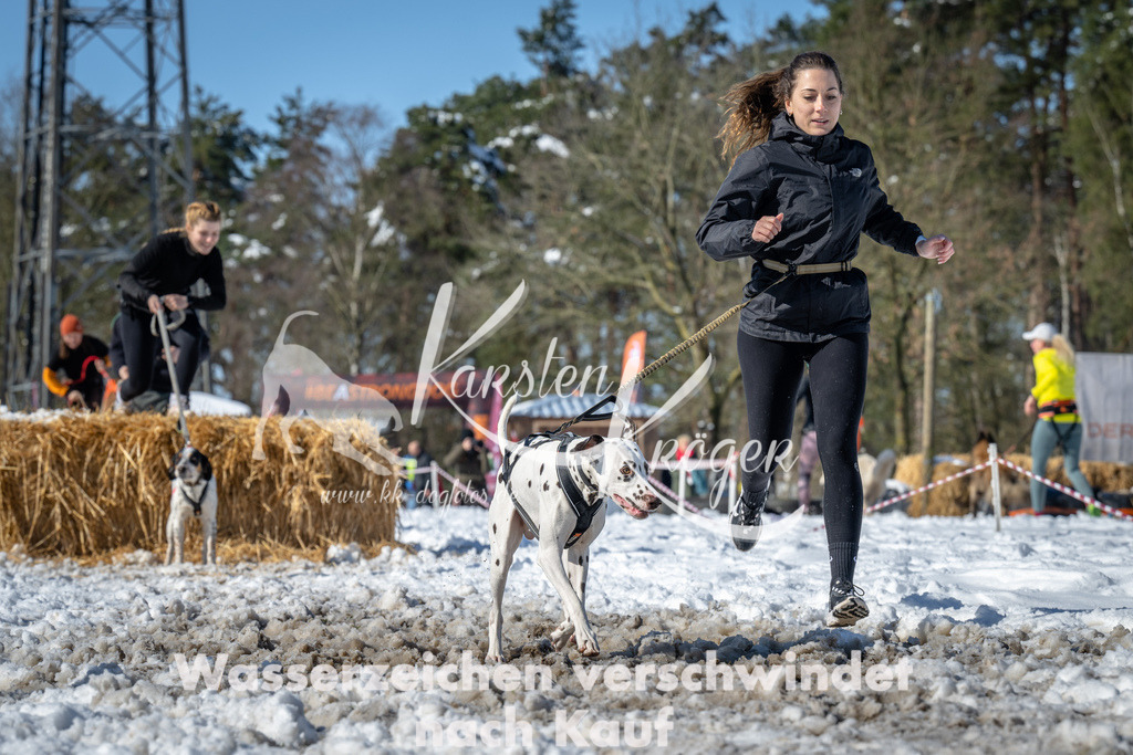 1201_ZZ91788-4 | kk-dogfotos