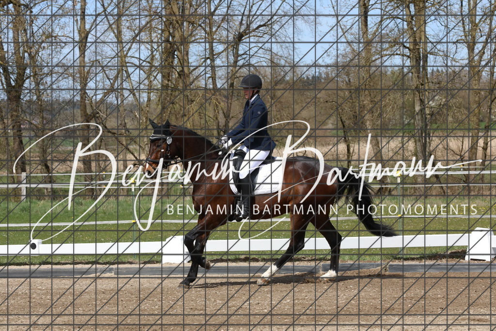 AZ2A3907 | Benjamin Bartmann Photomoments