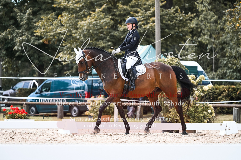 DSC_5637 | Pferde- und Turnierfotografie in Westsachsen. Pferdeportraits, Auftragszeichnungen und intuitive Kunst.