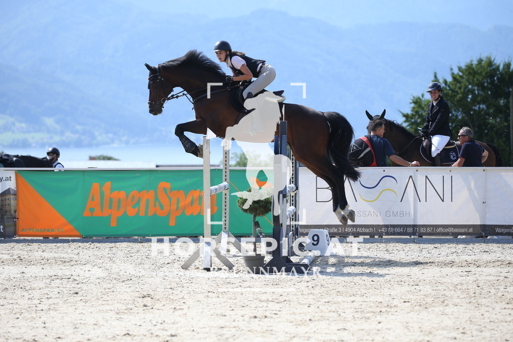 DL2Q1387 | Willkommen bei Brunnmayr - Design & Fotografie – Ihrem Spezialisten für Reitturniere und Pferdeveranstaltungen in Oberösterreich, Salzburg und Bayern! Seit über 17 Jahren sind wir leidenschaftlich dabei.