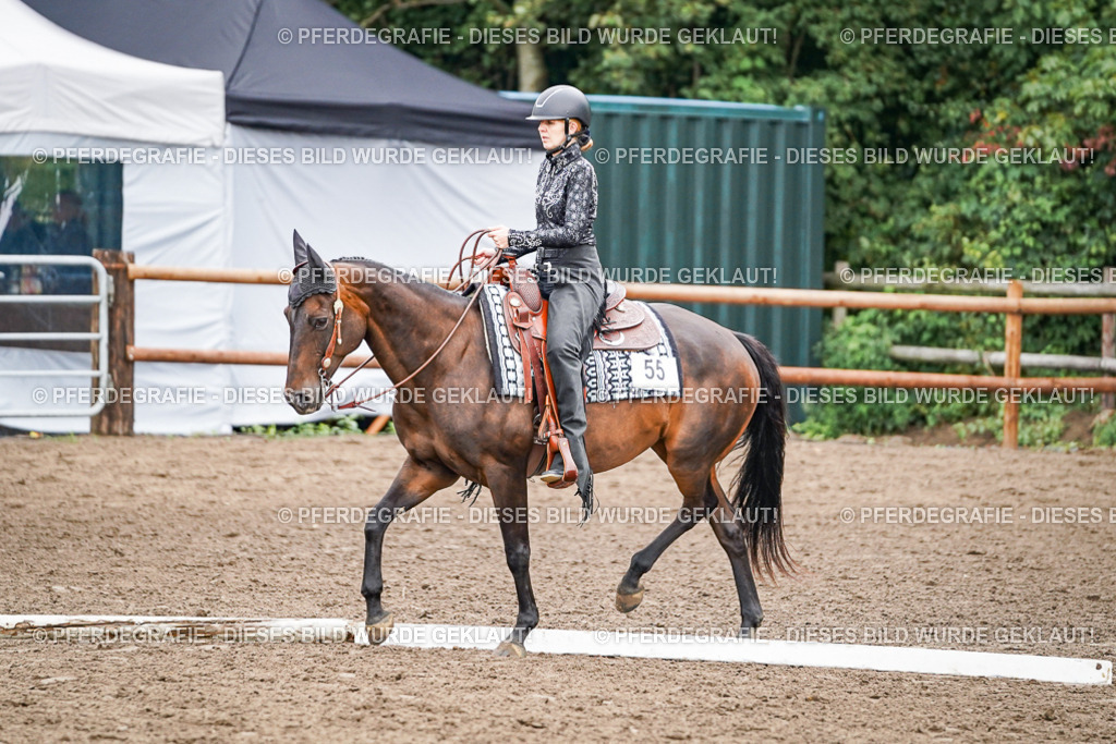 DSC03173 | Pferdegrafie